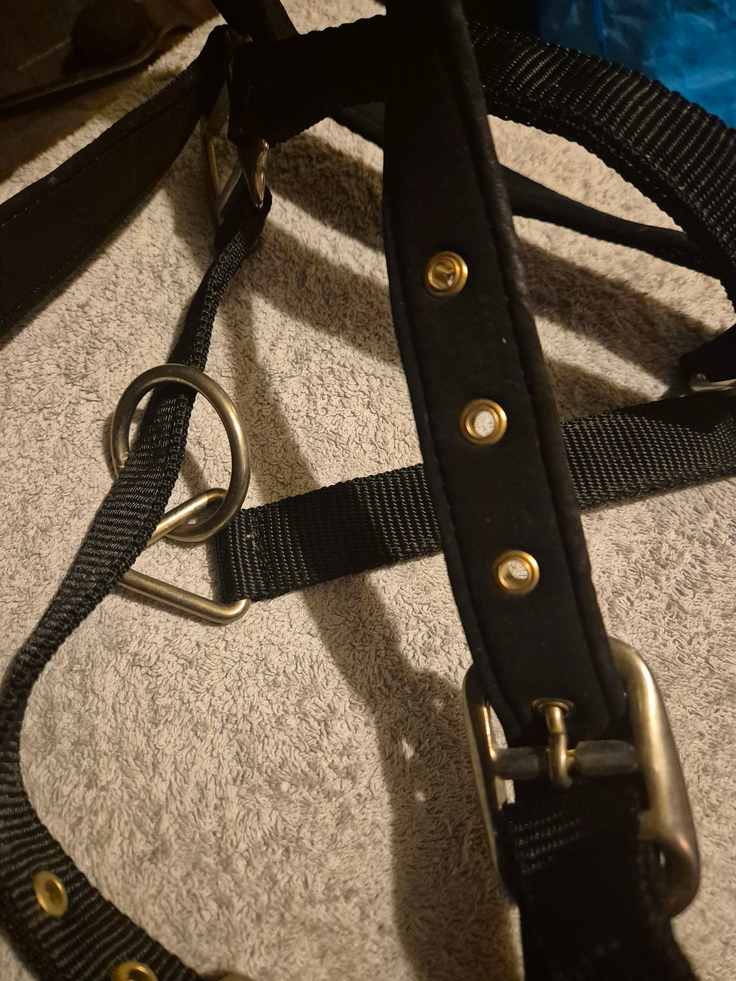 NEW Full Black Padded Headcollar (11)
