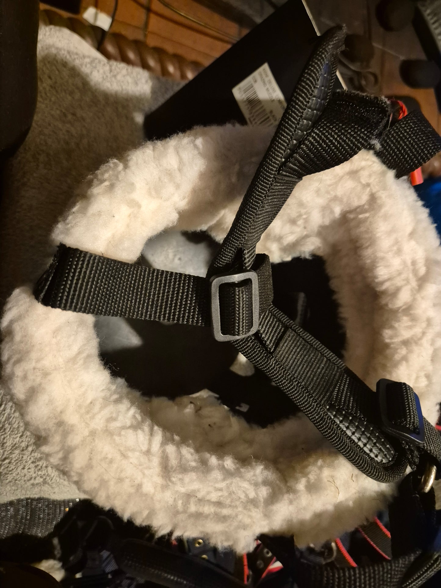 NEW Shires COB Deluxe Comfort Grazing Muzzle (2)