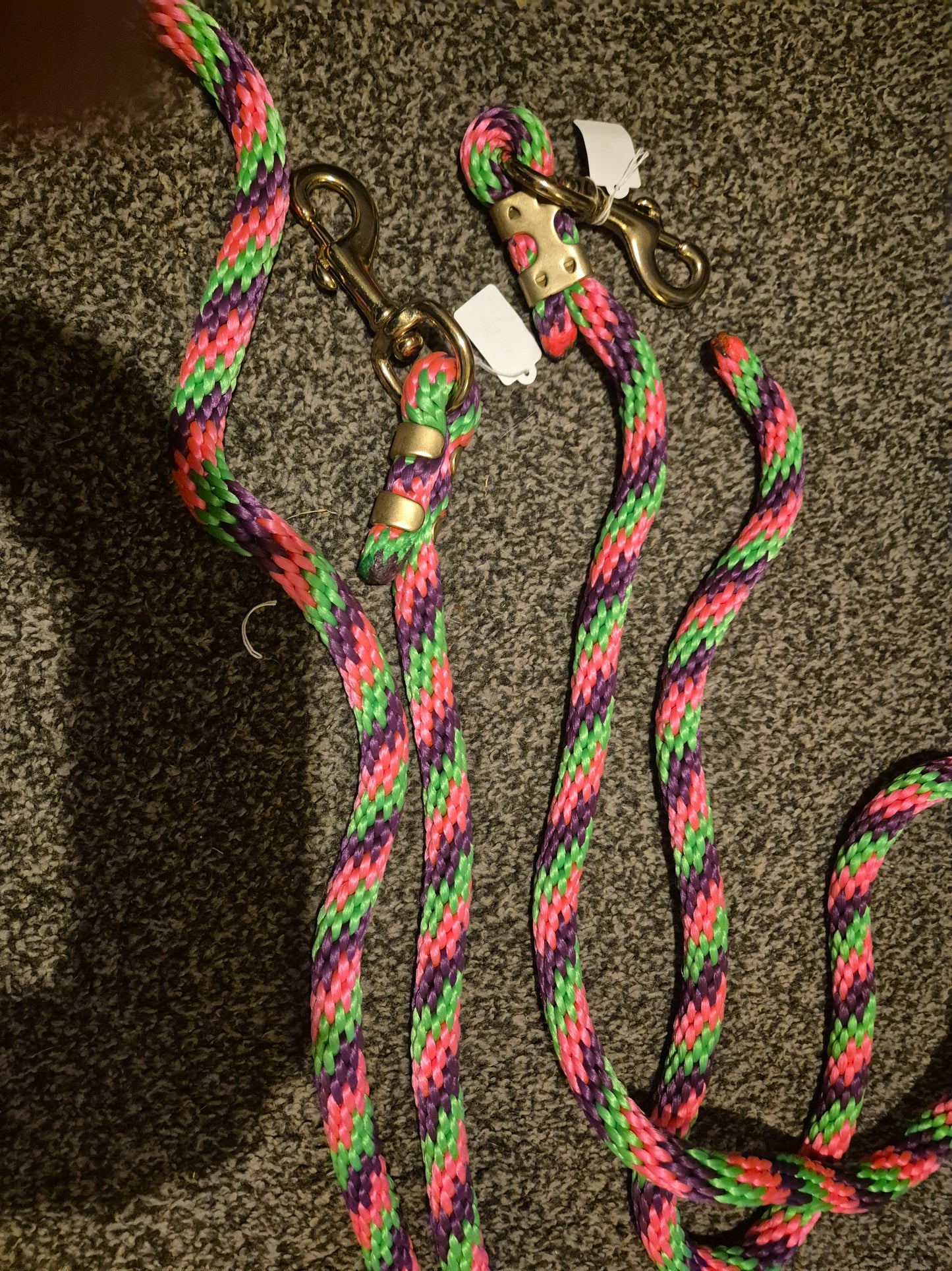 New Multi Coloured Leadrope (3)