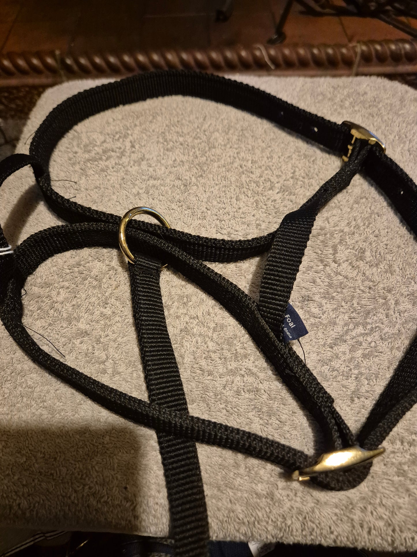 New Shires Black Foal slip (45)