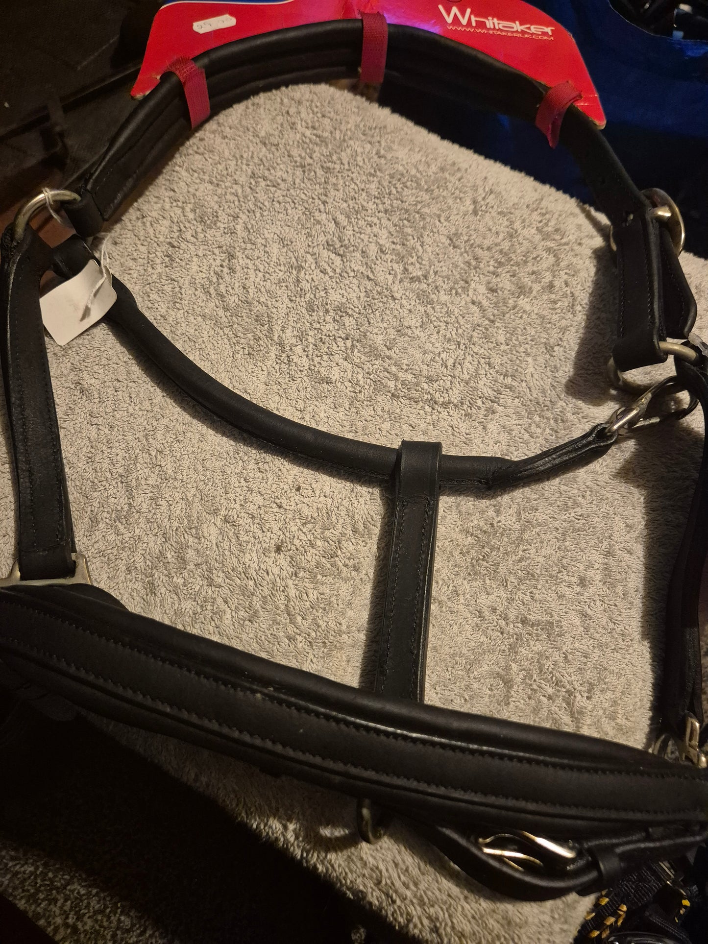 NEW Whitaker Soft Leather Pony Headcollar (15)