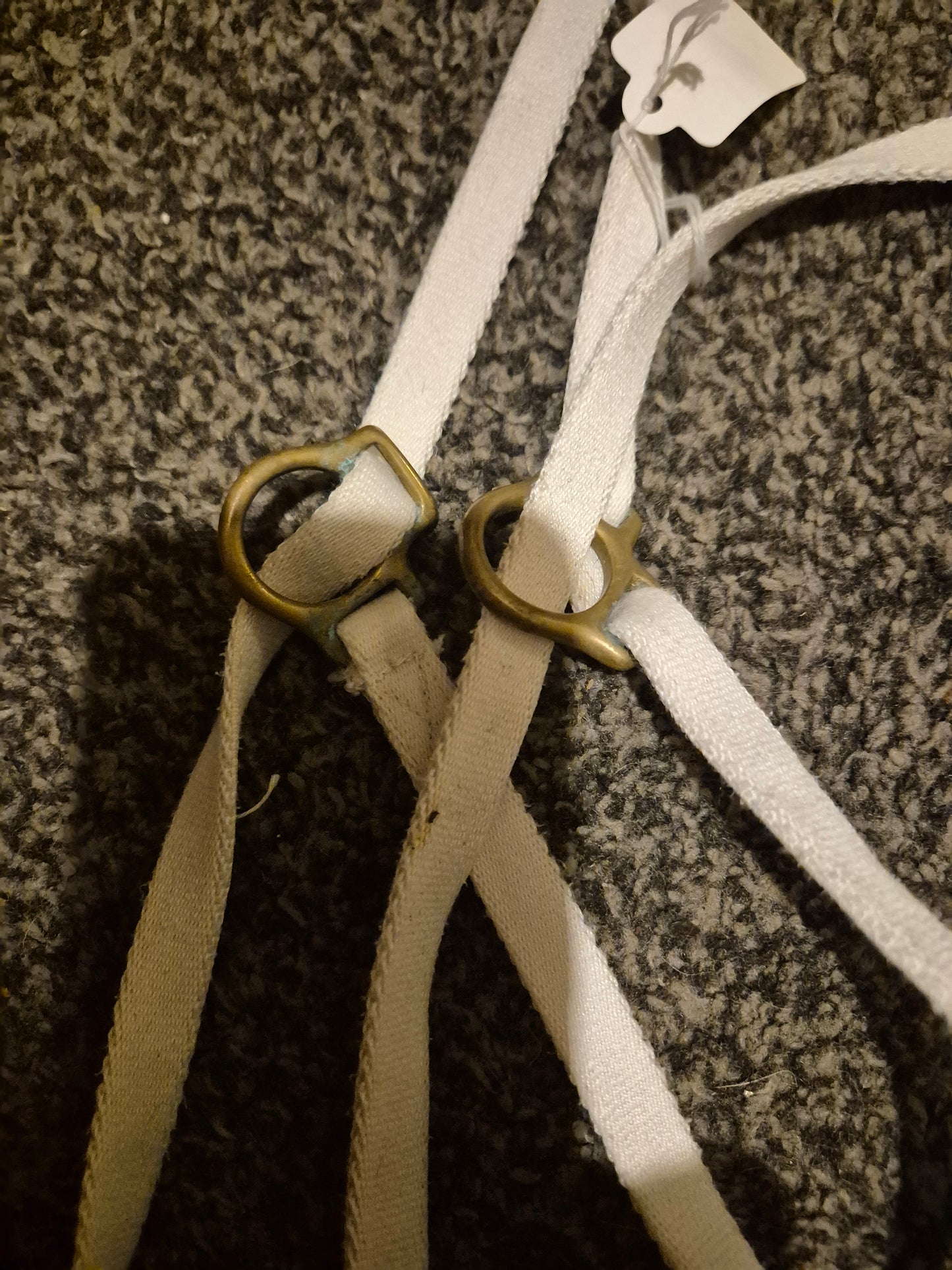 Secondhand IV HORSE Thin Flat White Show Halter (16)