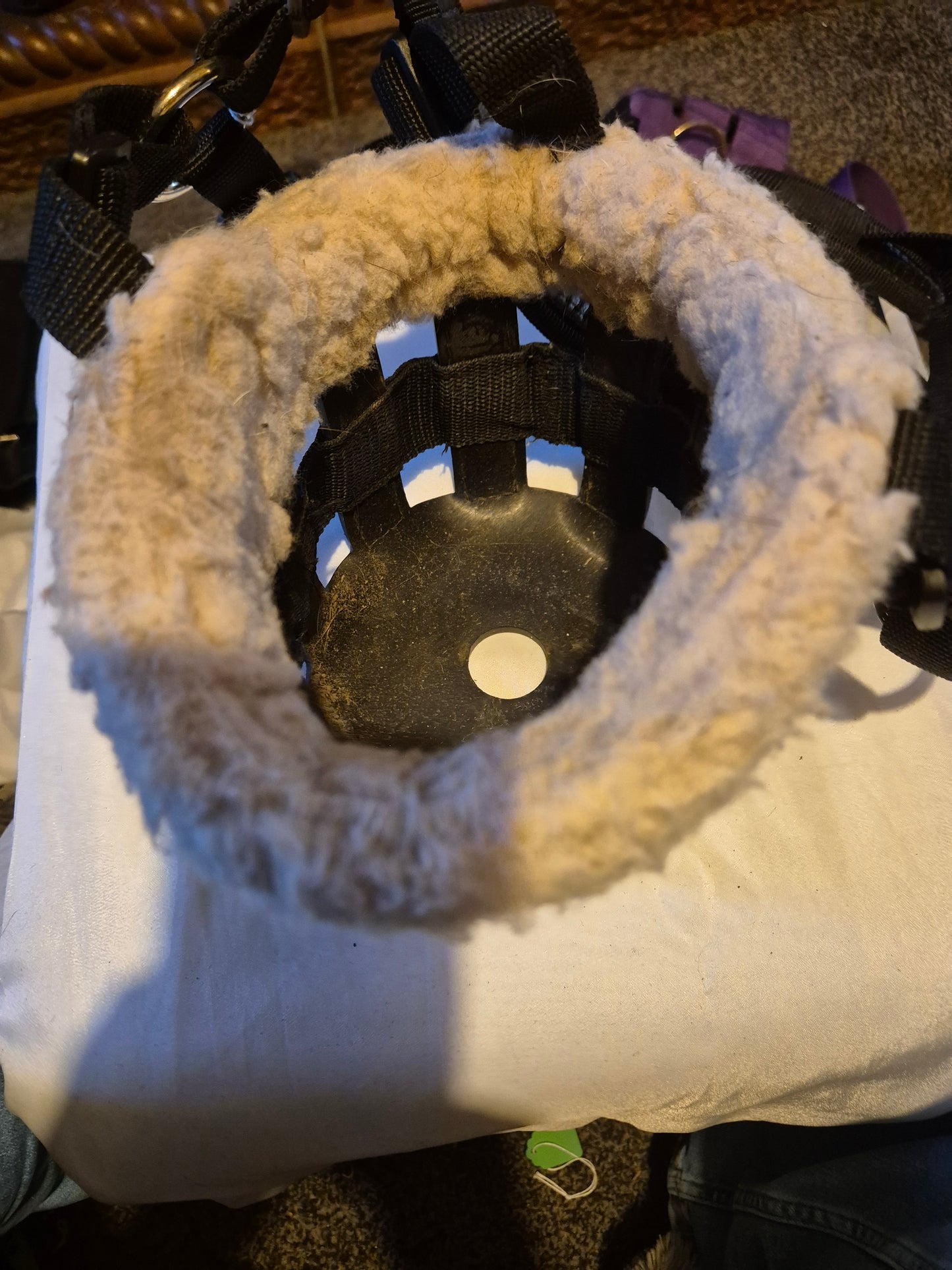 Secondhand Pony Black Fleecy Grazing Muzzle (7)