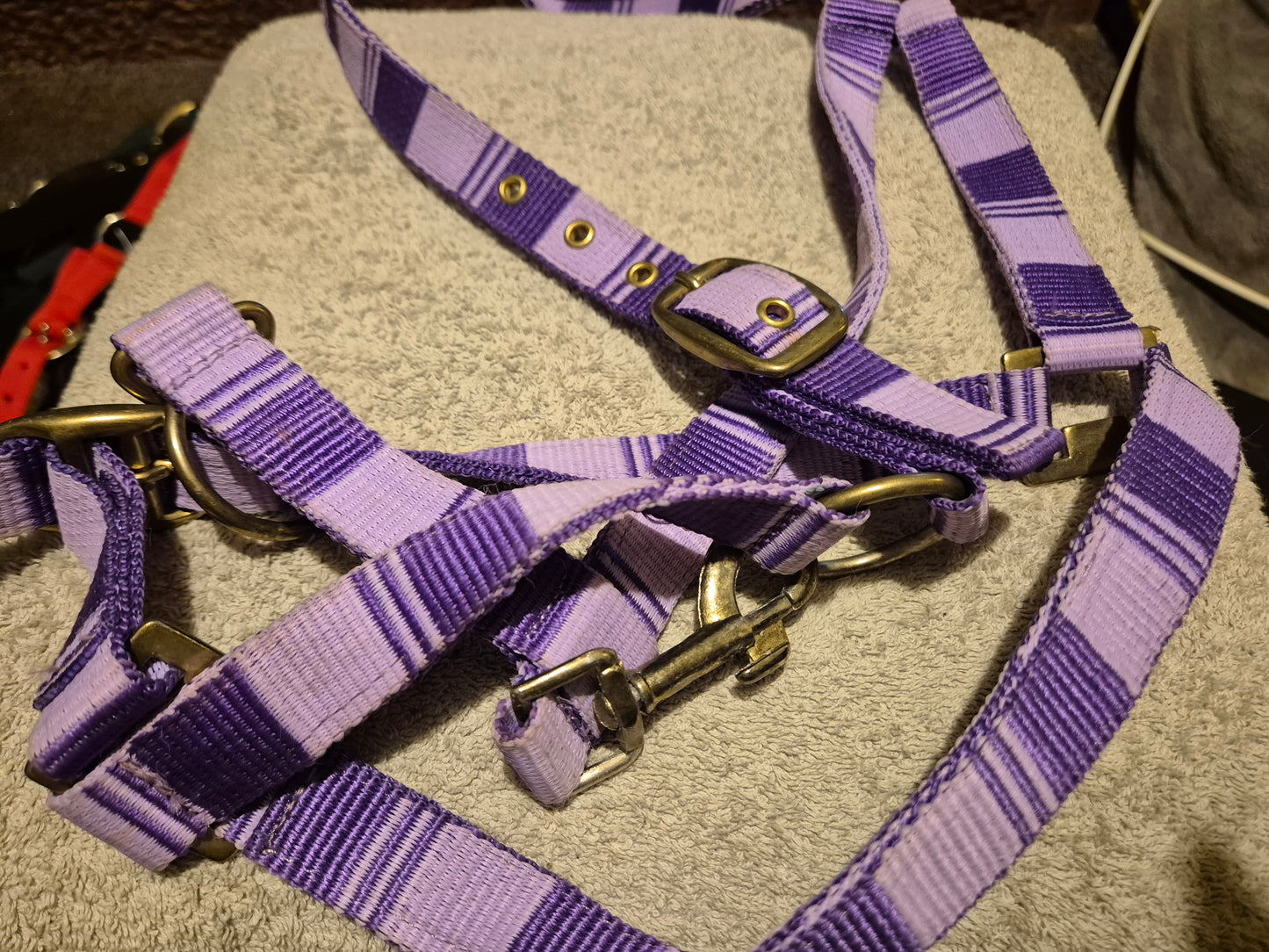 NEW Full Purple & Lilac Nylon Headcollar (23)
