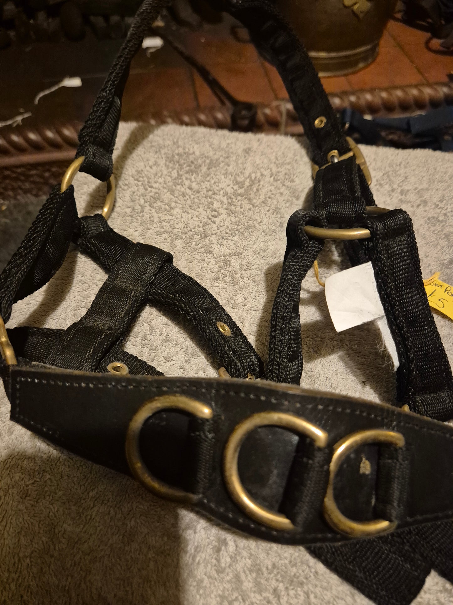 Secondhand Black IV Horse Pony Lunging Cavasson (8)