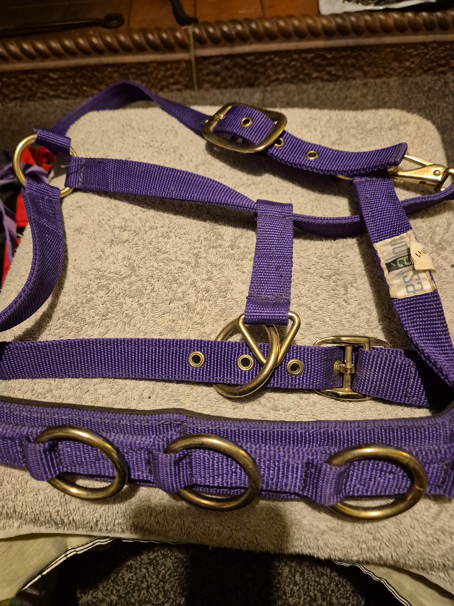 New Full Purple Lunging Cavasson (4)