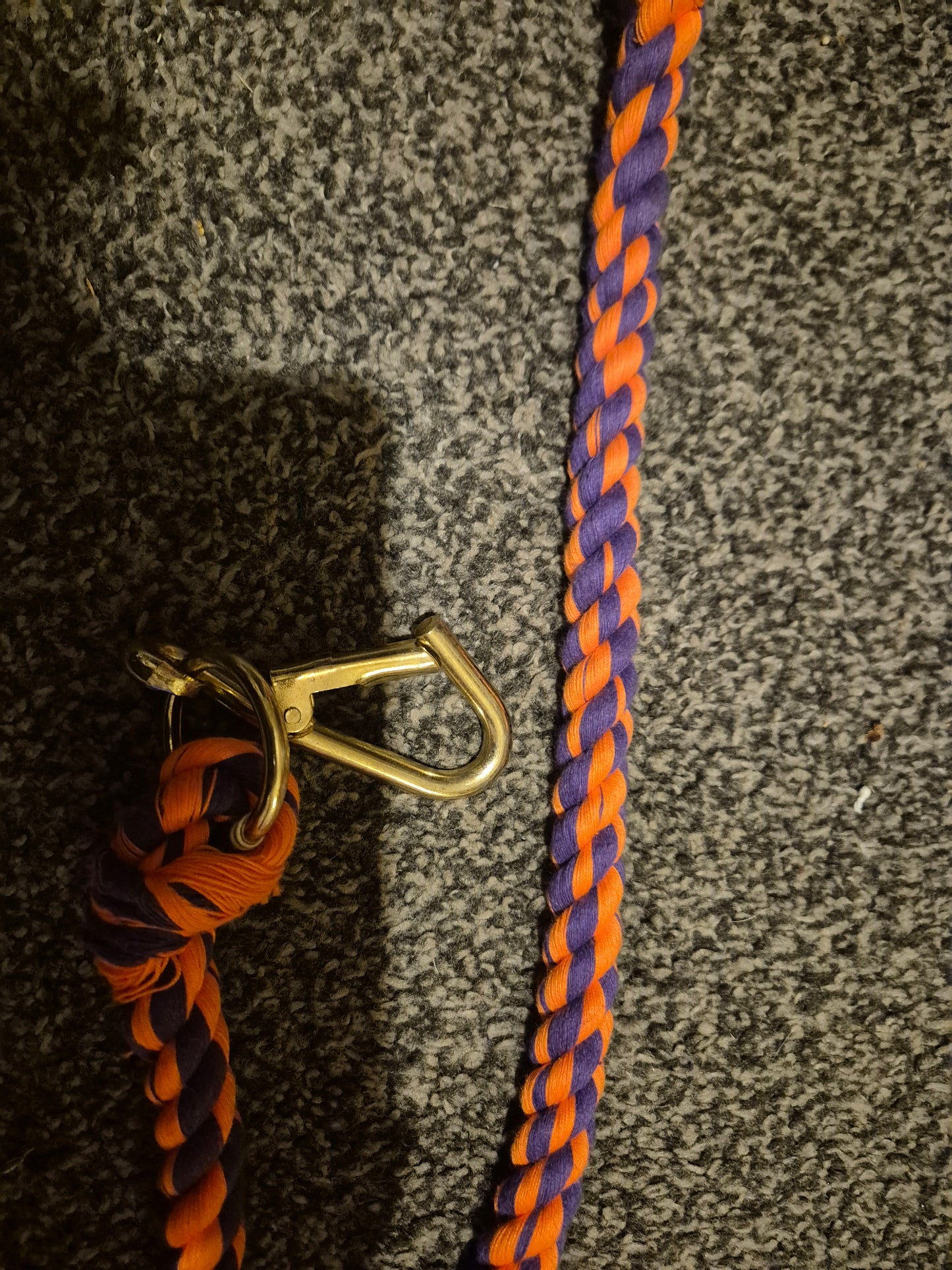New Orange & Purple Leadrope (9)