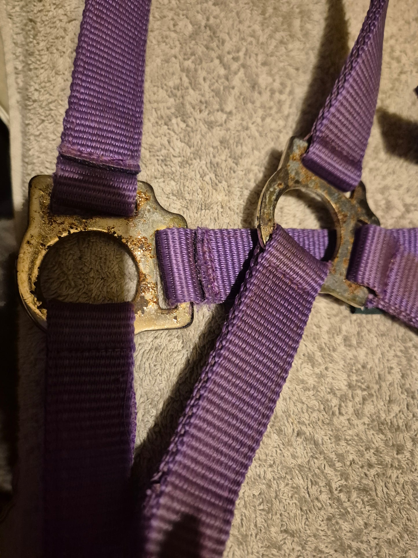Secondhand Wessex Full Purple Headcollar (42)