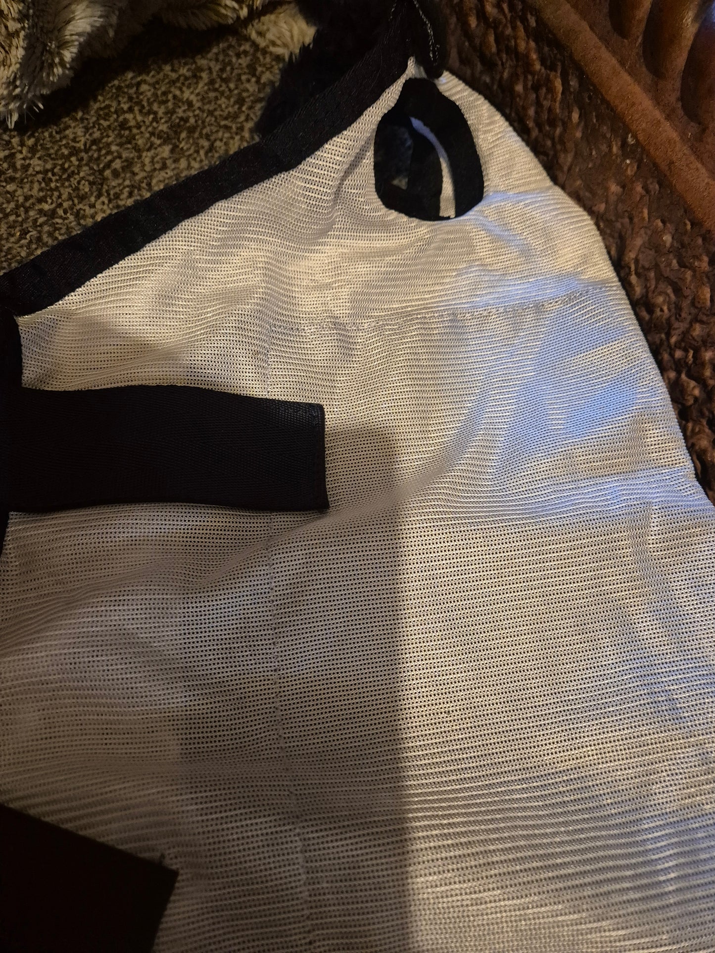 New Top Horse UK 4ft fly rug (8)