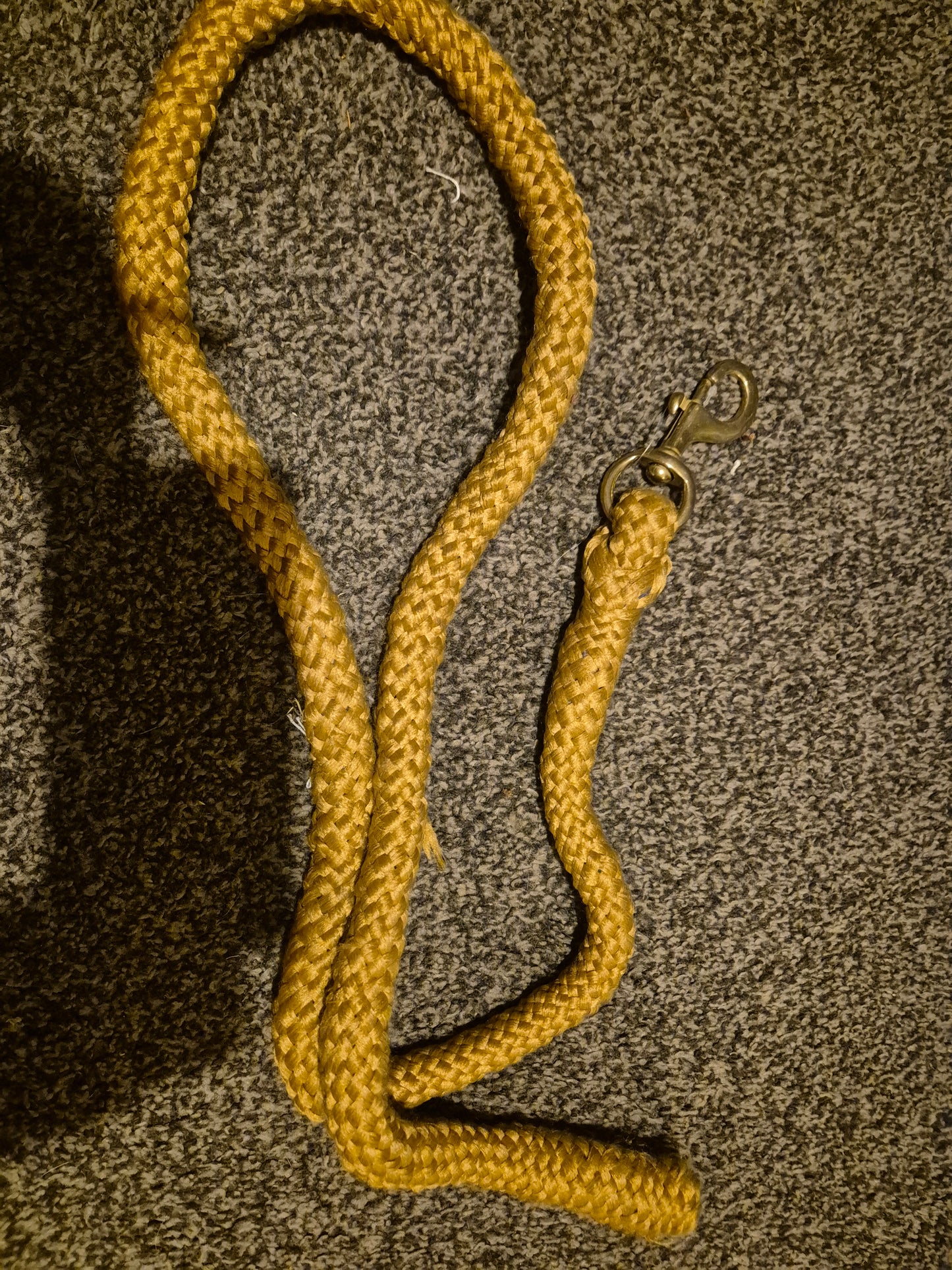 New Gold thick Leadrope (7)