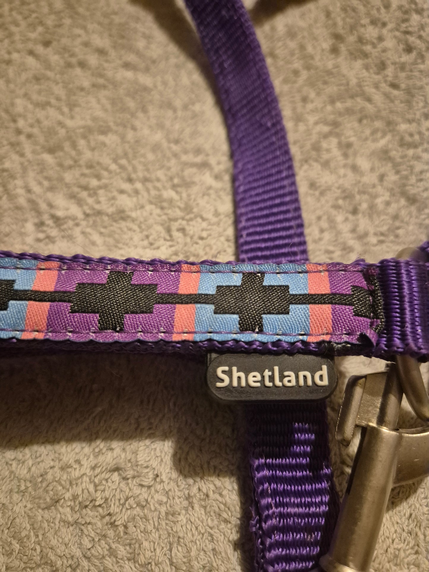 New Shetland Headcollar (1)