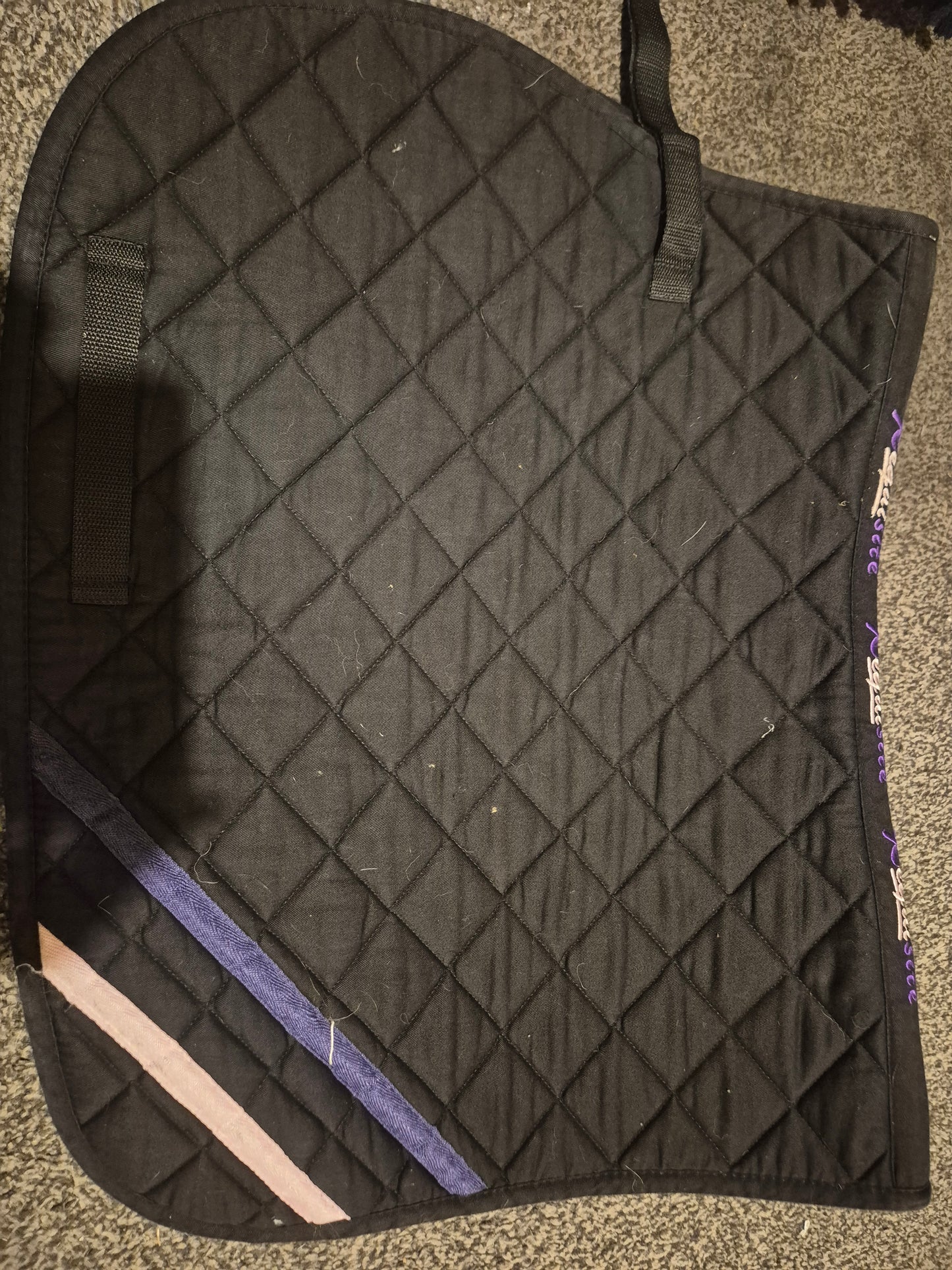 Requisite Black with pink and purple stripes Saddle Cloth- Full (15)