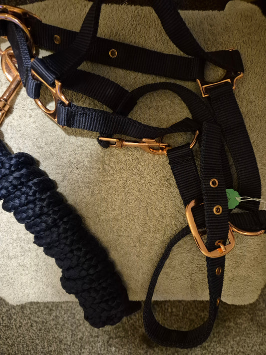 NEW Pony Navy with Rose Gold coloured Buckles Headcollar & Matching Leadrope (31)