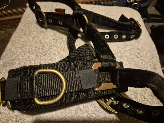 Eclipse Black Pony Lunging Cavasson (7)