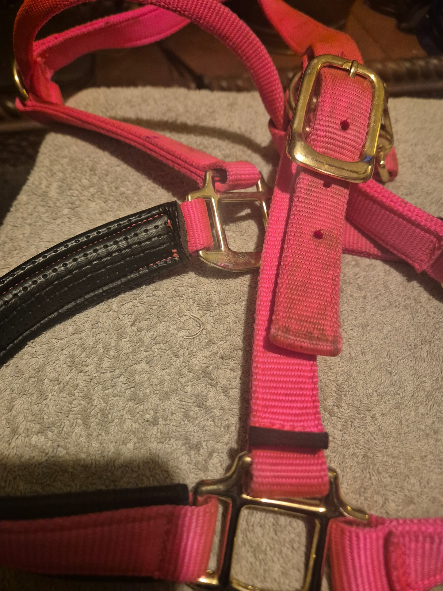 Secondhand Shires Bright pink Full Headcollar (50)