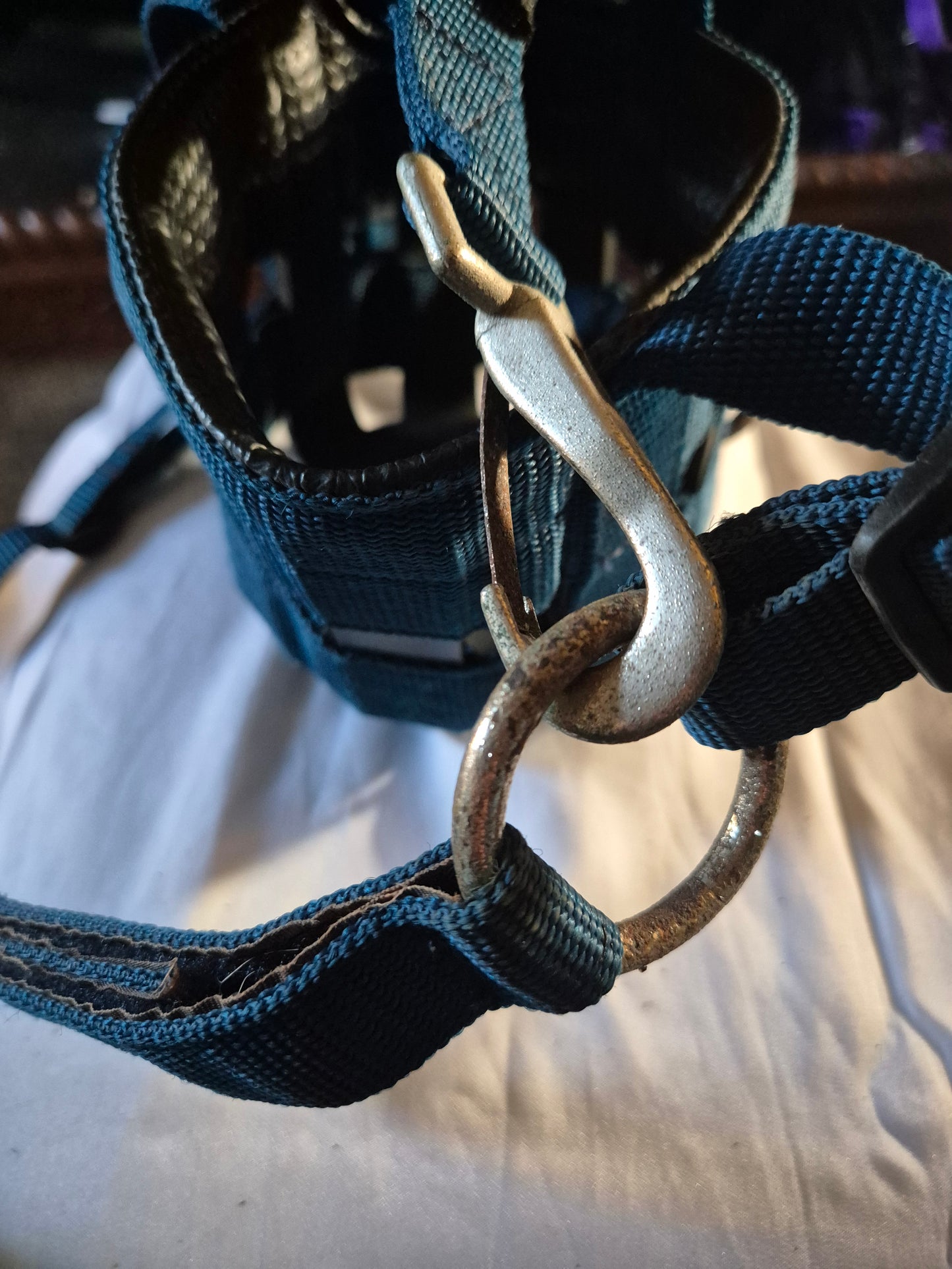 Secondhand XS Navy Grazing Muzzle (3)