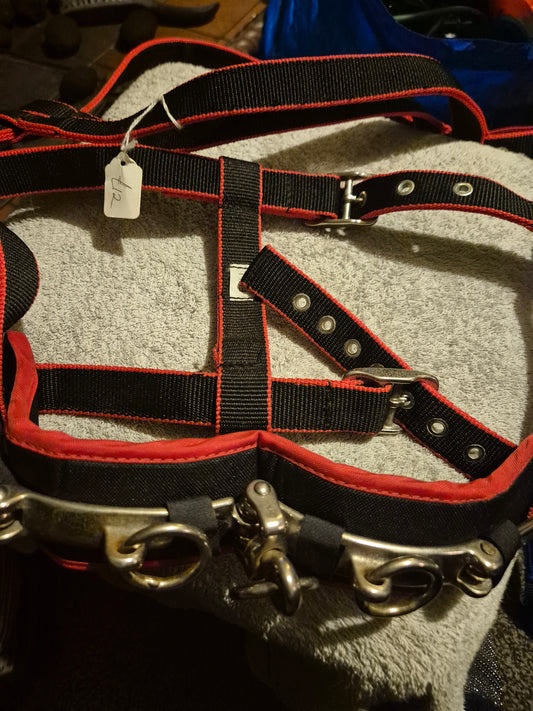 NEW Cottage Craft Black & Red Full Size Lunging Cavasson (1)