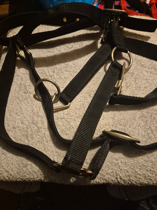NEW Full Black Padded Headcollar  (11)
