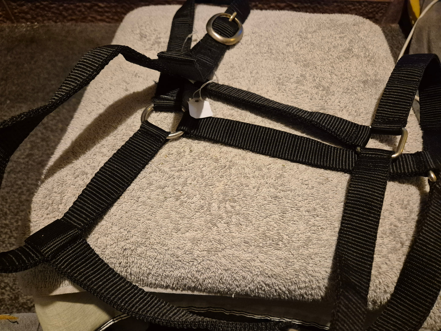 NEW Black XFull Nylon Headcollar (19)