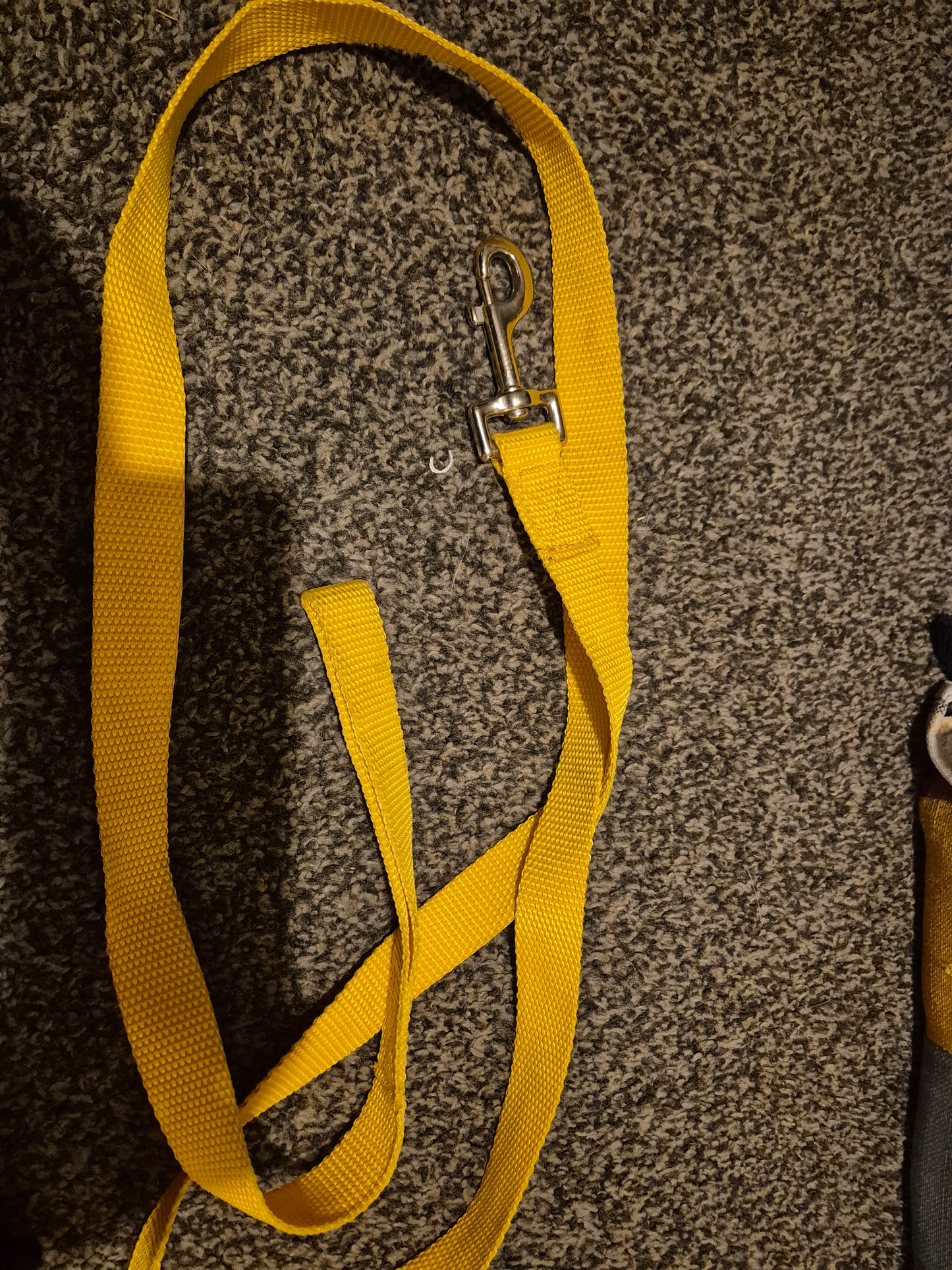 Secondhand Yellow Nylon Leadrope (18)