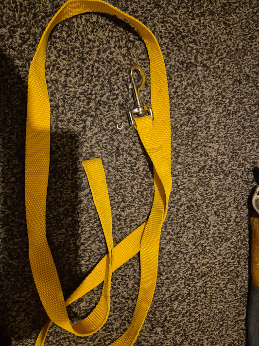 Secondhand Yellow Nylon Leadrope (18)