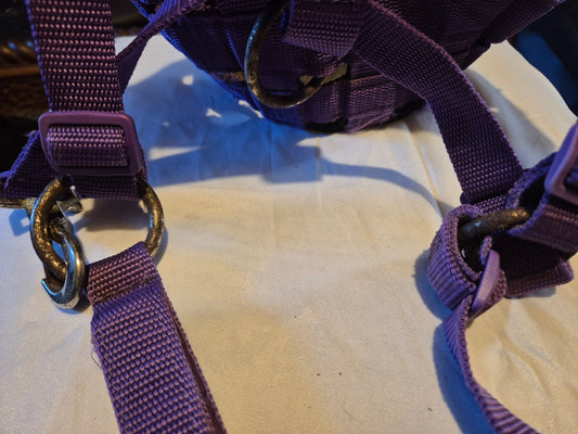 Secondhand Cob Purple Grazing Muzzle (5)