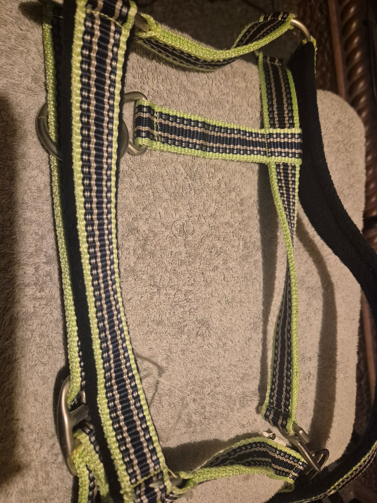 New Pony Lime green stripes Padded Headcollar (52)