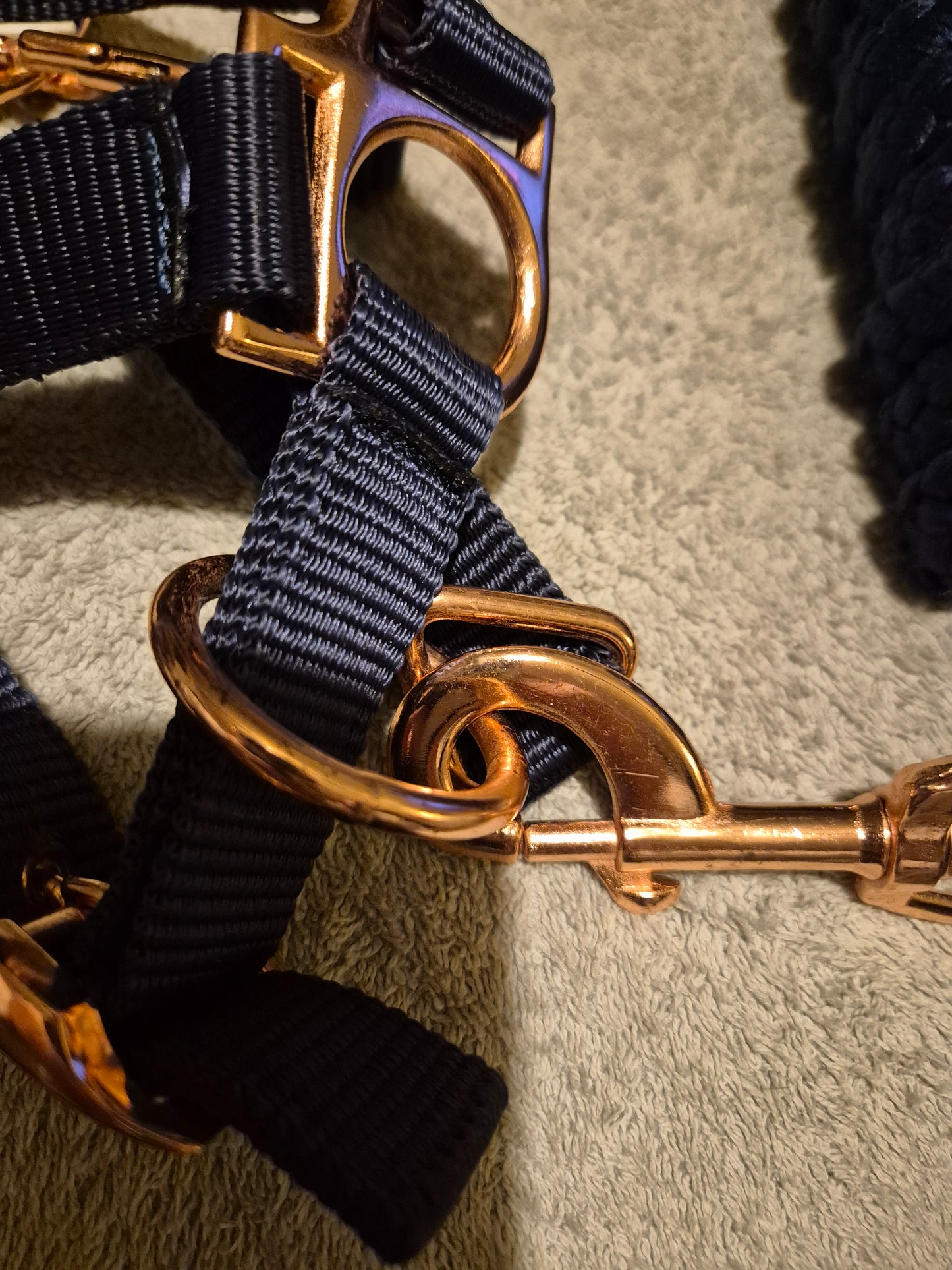 NEW Pony Navy with Rose Gold coloured Buckles Headcollar & Matching Leadrope (31)