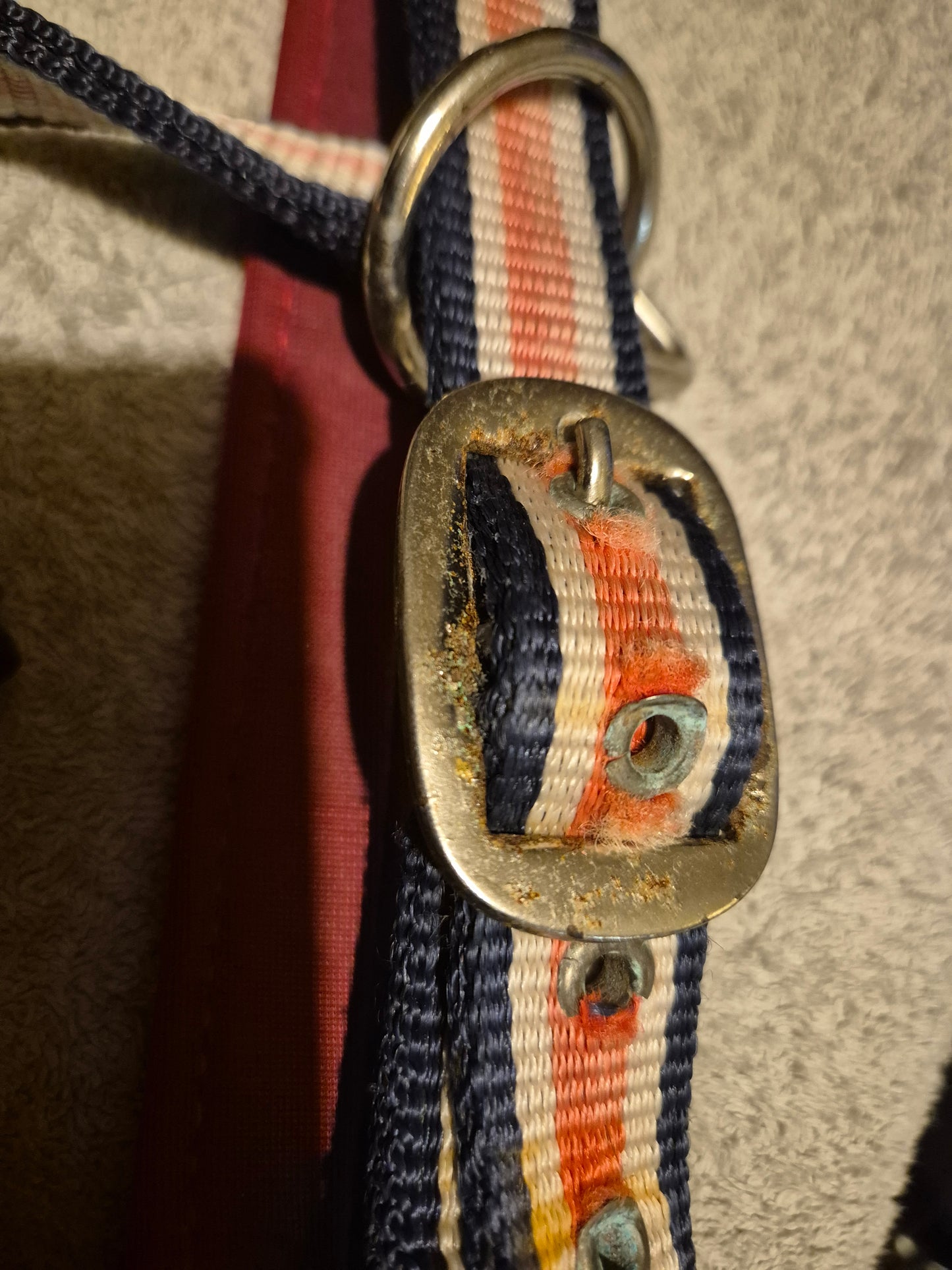 Secondhand Bridleway Cob red,white & Blue Headcollar (39)