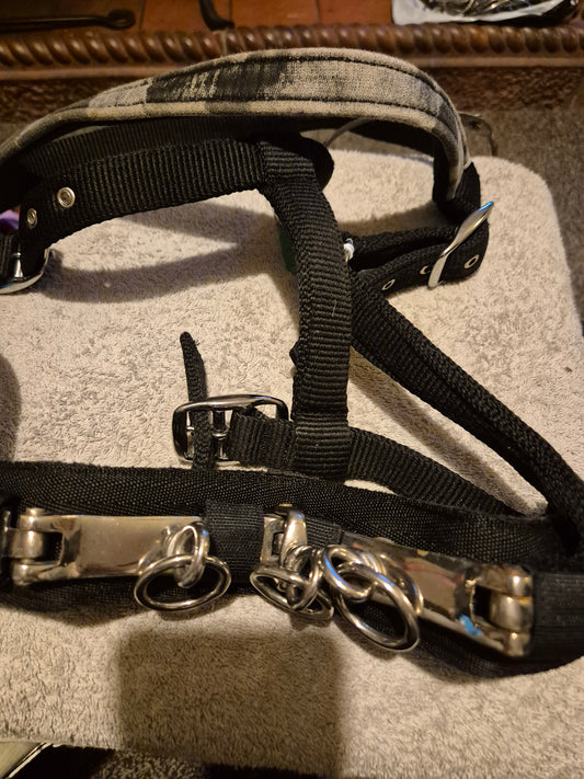 Secondhand Full size Black Cavasson (3)