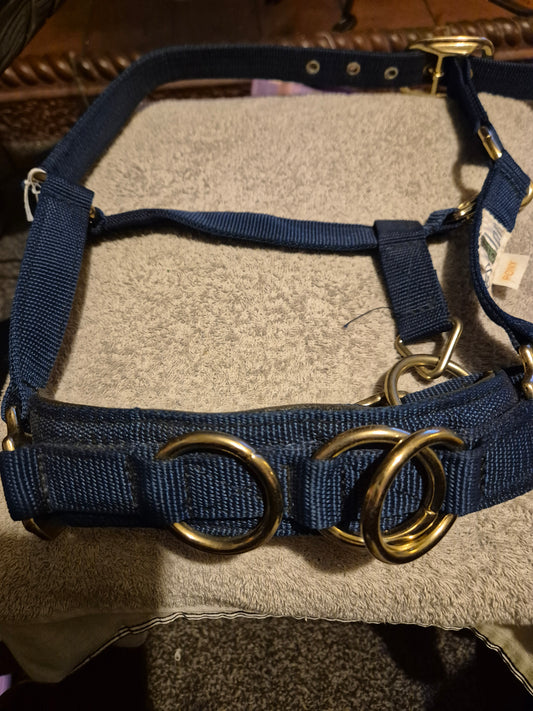 New Eskadron Navy Pony Lunging Cavasson (5)