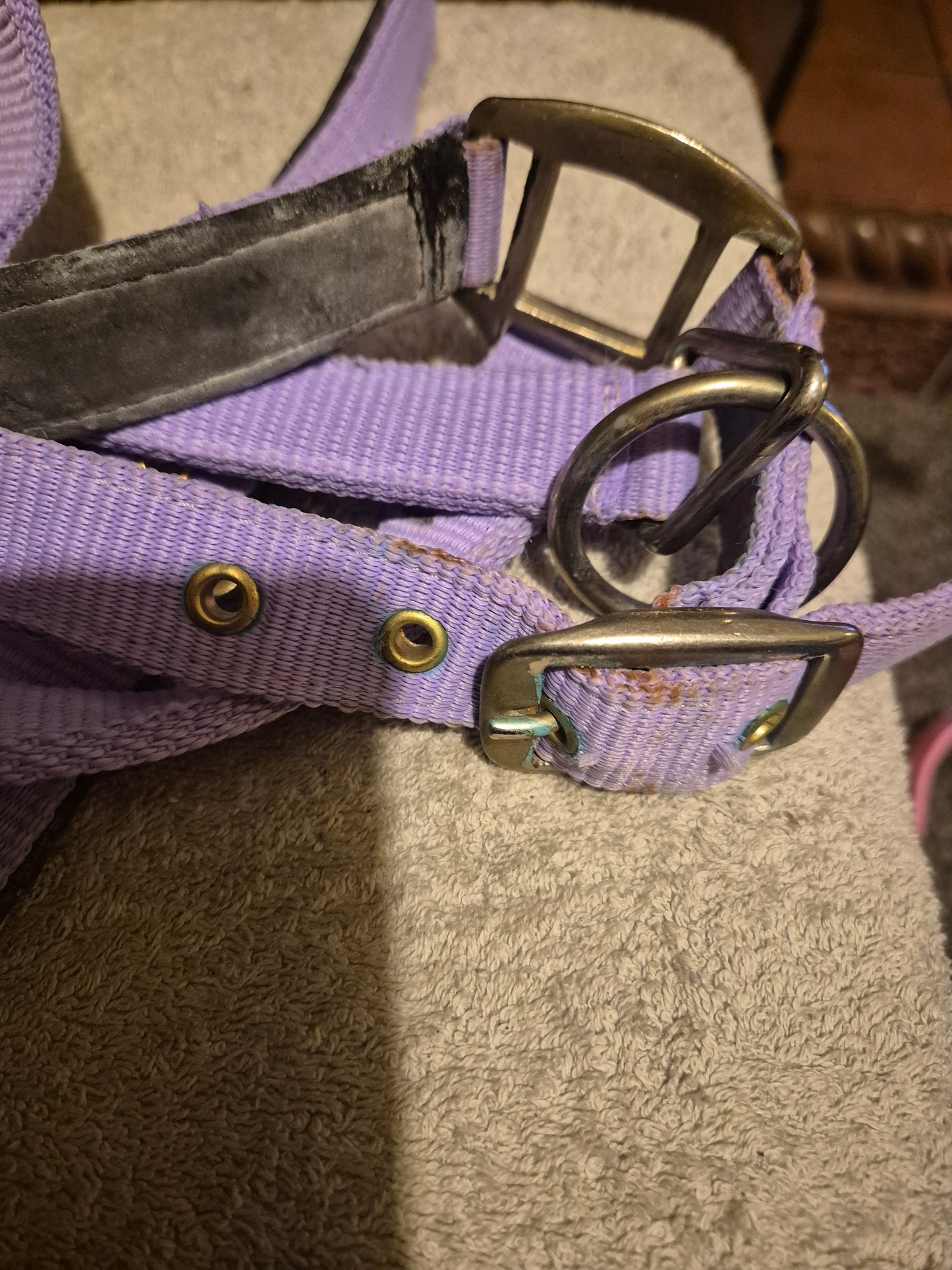 New padded (slightly soiled) Dr Green Lilac Cob Headcollar (36)