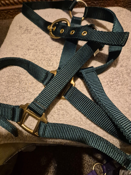 NEW Green Full Nylon Headcollar (20)