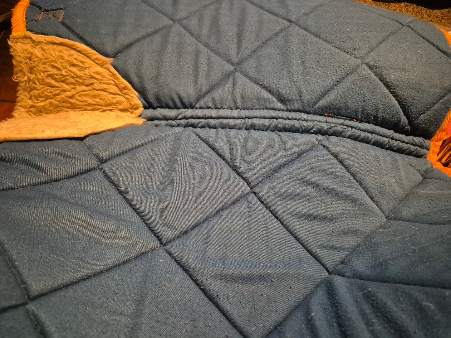 Horsewear Blue & Orange COB Chillout padded saddle pad (31)