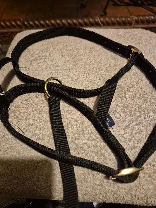 New Shires Black Foal slip (45)