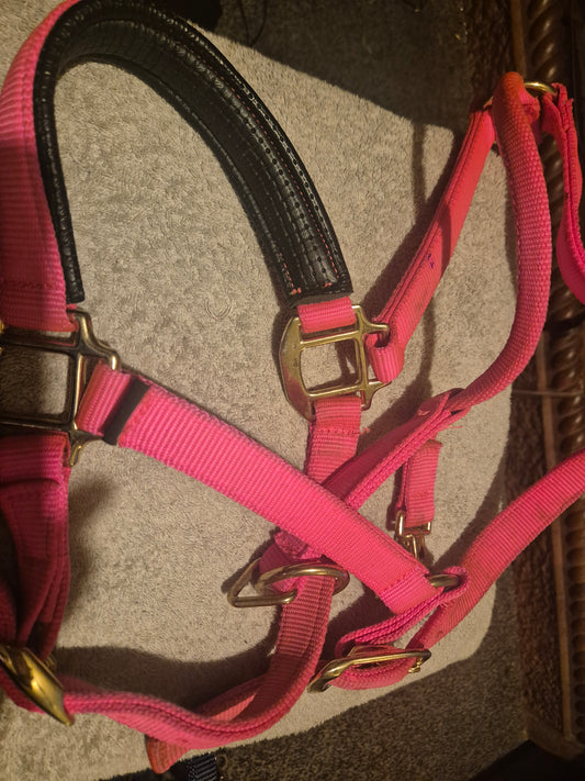 Secondhand Shires Bright pink Full Headcollar (50)
