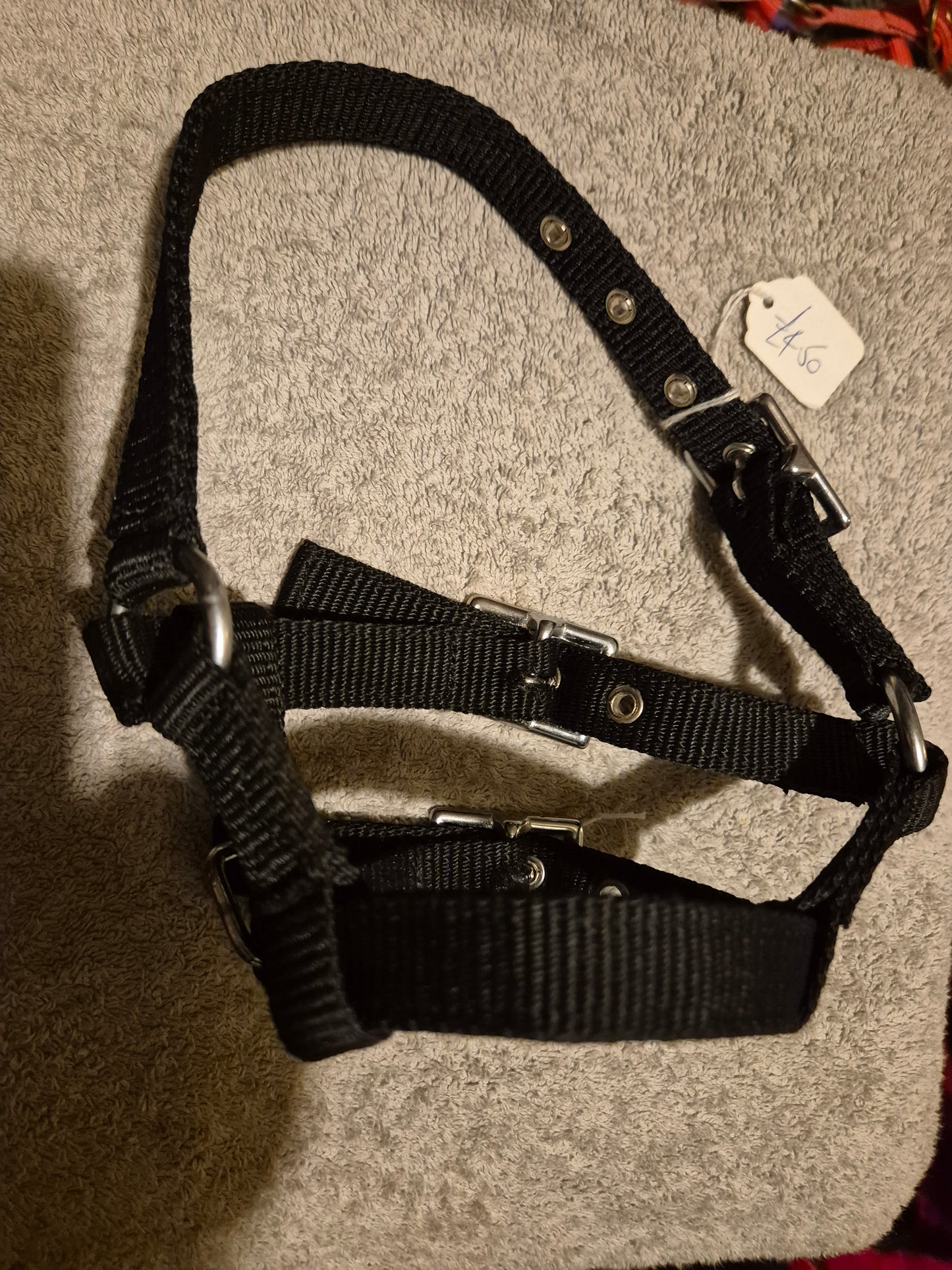 Miniature Black Headcollar (47)