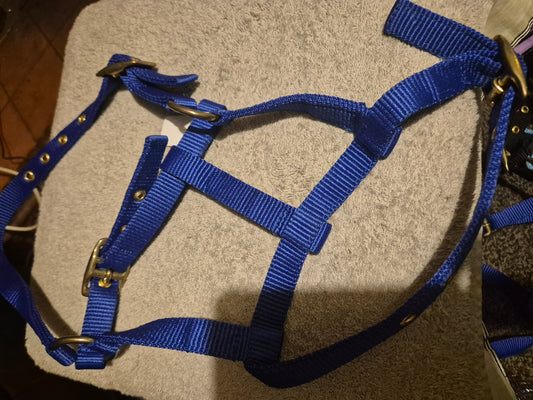 New Foal Headcollar - Navy Blue (32)
