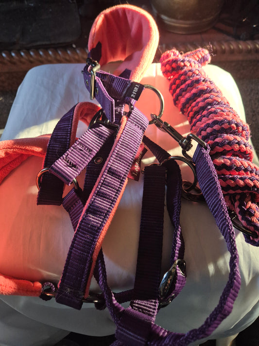 New Le Mieux XF size Headcollar & Lead rope (67)