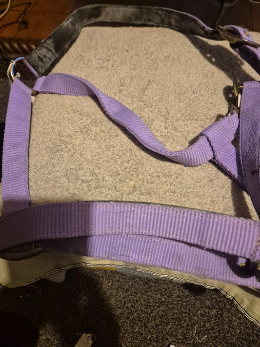 New padded (slightly soiled) Dr Green Lilac Cob Headcollar (36)