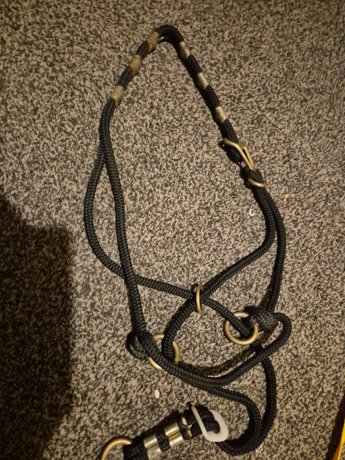 Black Halter (17)