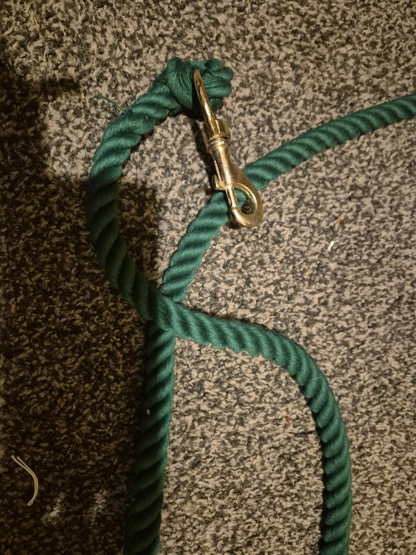New Green Leadrope (12)