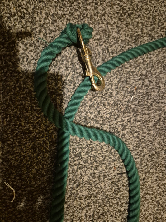 New Green Leadrope (12)