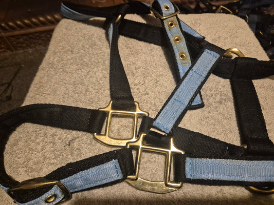 Secondhand Cob Blue & Black Headcollar (53)