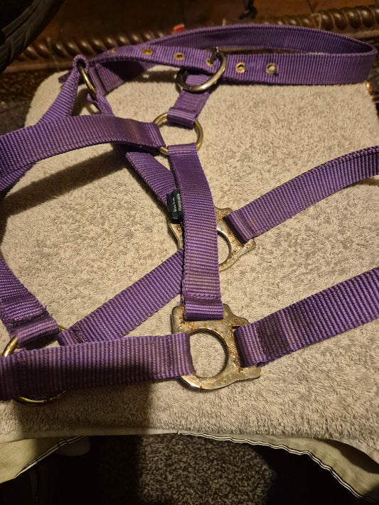 Secondhand Wessex Full Purple Headcollar (42)