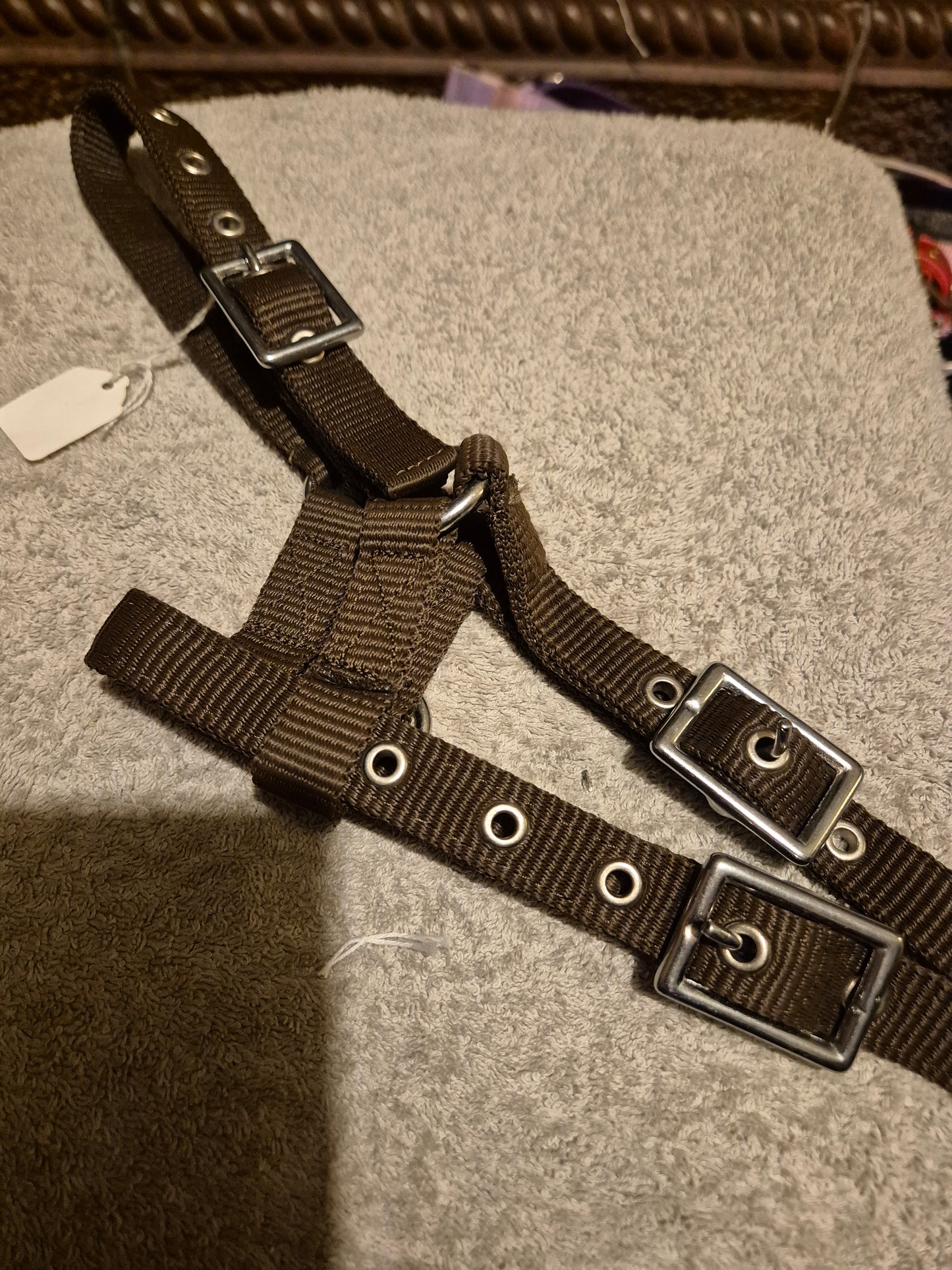 Miniature Brown Headcollar (47)