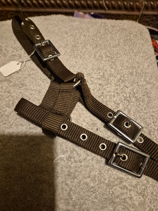 Miniature Brown Headcollar (47)