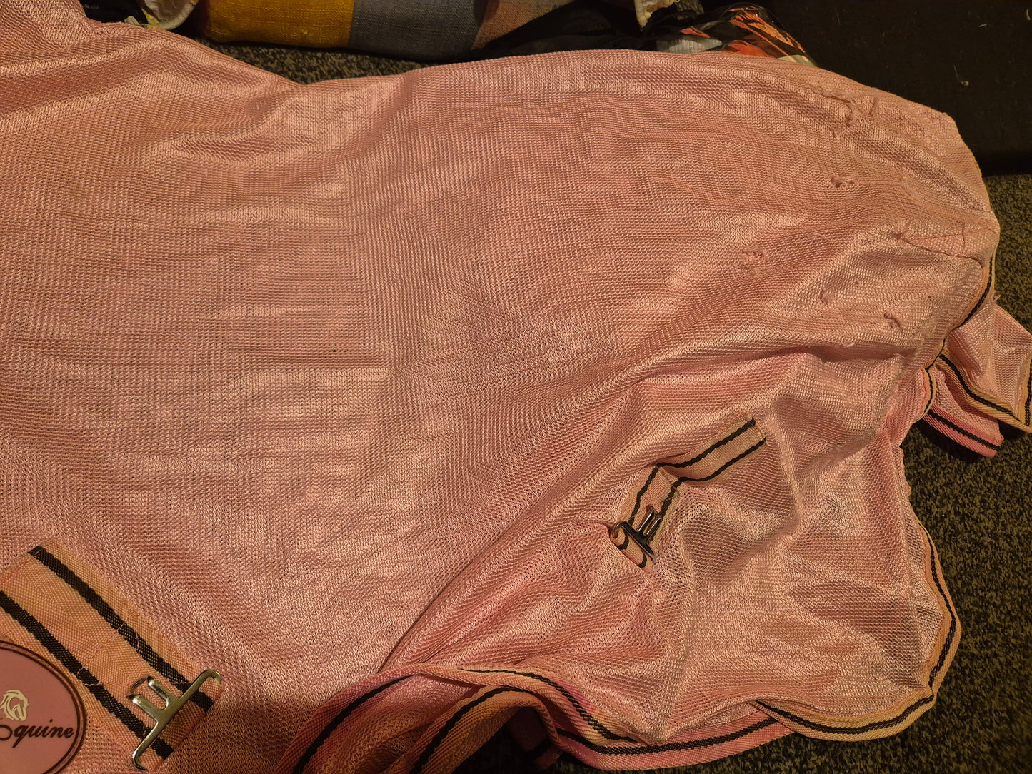 Secondhand Well Equine 3ft 9 Pink Fly Rug (5)