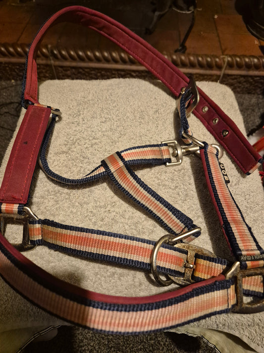 Secondhand Bridleway Cob red,white & Blue Headcollar (39)