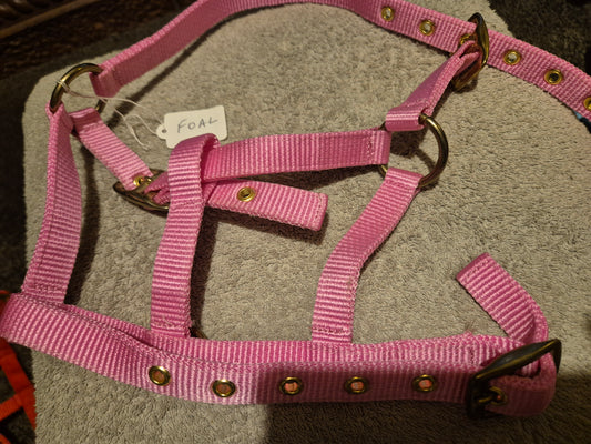 New Foal Headcollar - Pink (25)